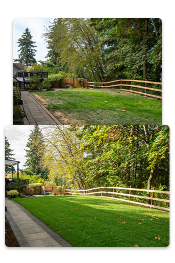 Prodigy Landscapes Quality